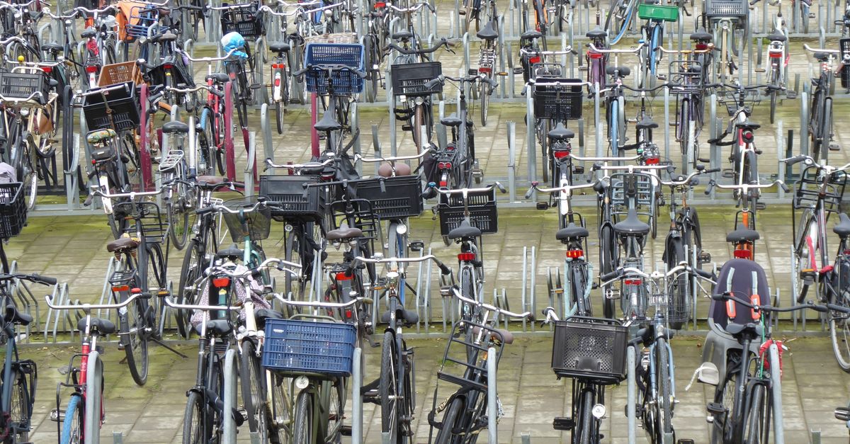 Fietsvergoeding Calculator